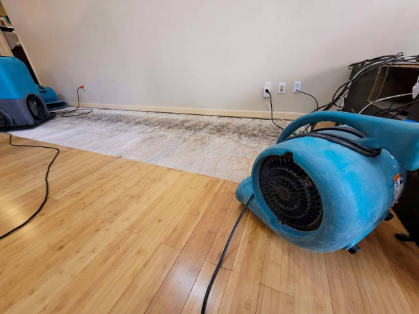 Professional Flood Damage Cleanup technician working in Crown King, AZ